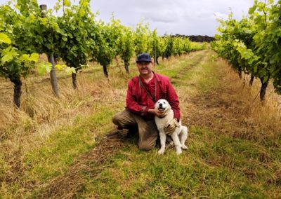 Bunn Wine Preservative Free Biodynamic Wine from the Great Southern Region of Western Australia